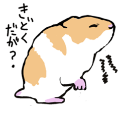 Syrian Golden Hamster sticker #3070149