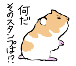 Syrian Golden Hamster sticker #3070156