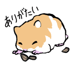 Syrian Golden Hamster sticker #3070158