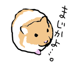 Syrian Golden Hamster sticker #3070164
