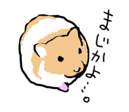 Syrian Golden Hamster sticker #3070164