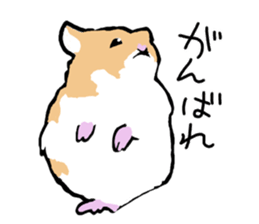 Syrian Golden Hamster sticker #3070168