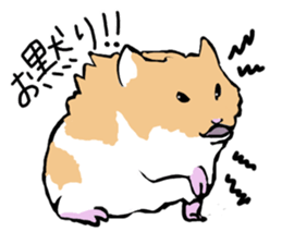 Syrian Golden Hamster sticker #3070170