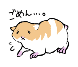 Syrian Golden Hamster sticker #3070175