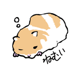 Syrian Golden Hamster sticker #3070176