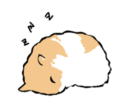 Syrian Golden Hamster sticker #3070177