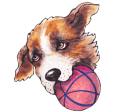 Kawaii Dogs Stickers. sticker #3070392
