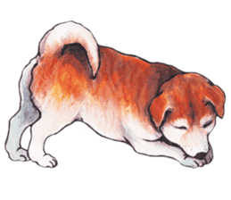 Kawaii Dogs Stickers. sticker #3070417