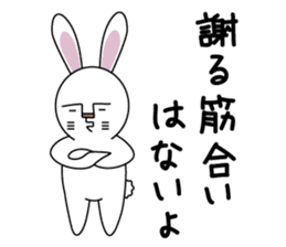 Apologize rabbit sticker #3071118
