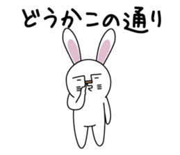Apologize rabbit sticker #3071128