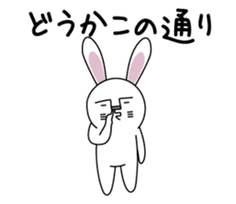 Apologize rabbit sticker #3071128