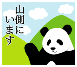 Panda in Kobe sticker #3071266