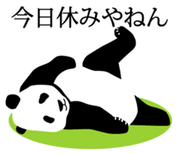 Panda in Kobe sticker #3071273