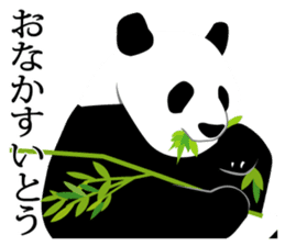 Panda in Kobe sticker #3071277