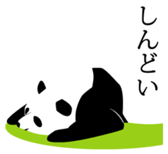 Panda in Kobe sticker #3071279