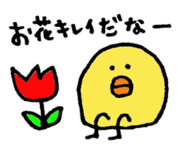 Funny Chick sticker #3072084