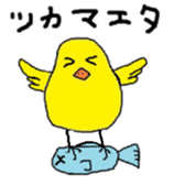 Daily chick sticker #3073155