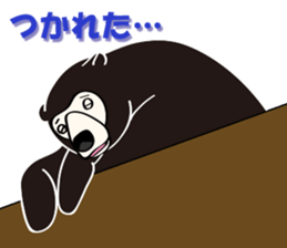 Kinoshita of the sun bear sticker #3075487