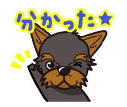 iinu - Yorkshire Terrier sticker #3075739