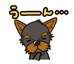 iinu - Yorkshire Terrier sticker #3075740
