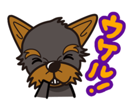 iinu - Yorkshire Terrier sticker #3075750