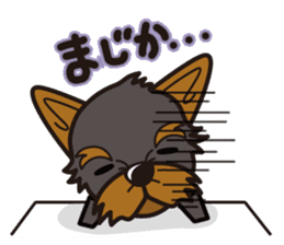 iinu - Yorkshire Terrier sticker #3075751