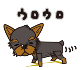 iinu - Yorkshire Terrier sticker #3075764