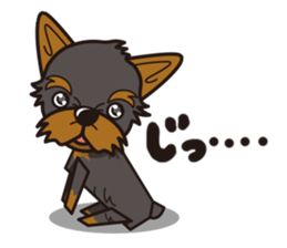 iinu - Yorkshire Terrier sticker #3075765