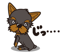 iinu - Yorkshire Terrier sticker #3075765