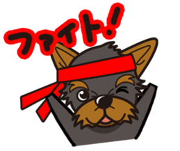 iinu - Yorkshire Terrier sticker #3075775