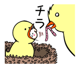 Pochi to watch sticker #3076211