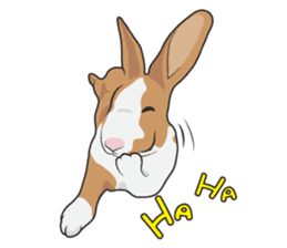 Nene Family (ENG) sticker #3076762