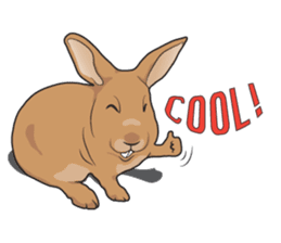 Nene Family (ENG) sticker #3076765