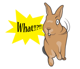 Nene Family (ENG) sticker #3076770