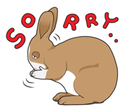 Nene Family (ENG) sticker #3076771