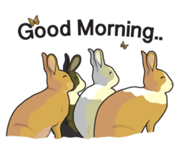 Nene Family (ENG) sticker #3076774