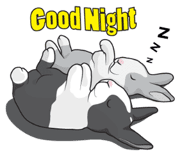 Nene Family (ENG) sticker #3076776