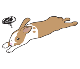 Nene Family (ENG) sticker #3076781