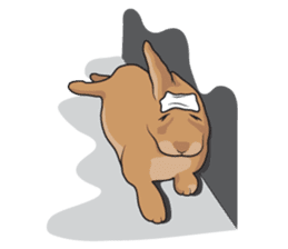 Nene Family (ENG) sticker #3076789