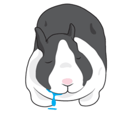 Nene Family (ENG) sticker #3076792