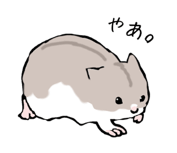 Djungarian Hamster sticker #3077155