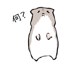 Djungarian Hamster sticker #3077156