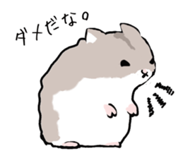 Djungarian Hamster sticker #3077158