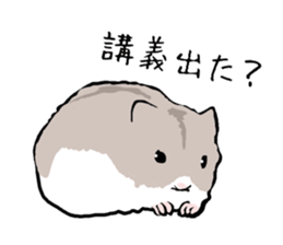 Djungarian Hamster sticker #3077160