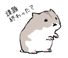 Djungarian Hamster sticker #3077164
