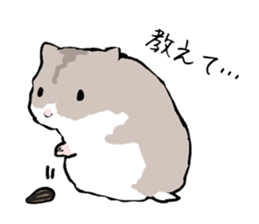 Djungarian Hamster sticker #3077166