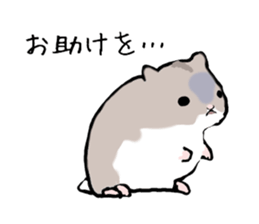 Djungarian Hamster sticker #3077167