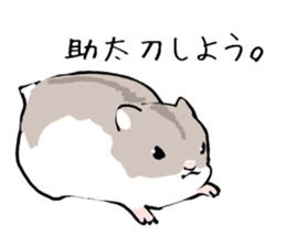 Djungarian Hamster sticker #3077168