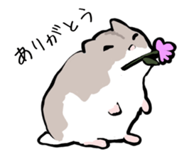 Djungarian Hamster sticker #3077180