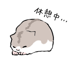 Djungarian Hamster sticker #3077183